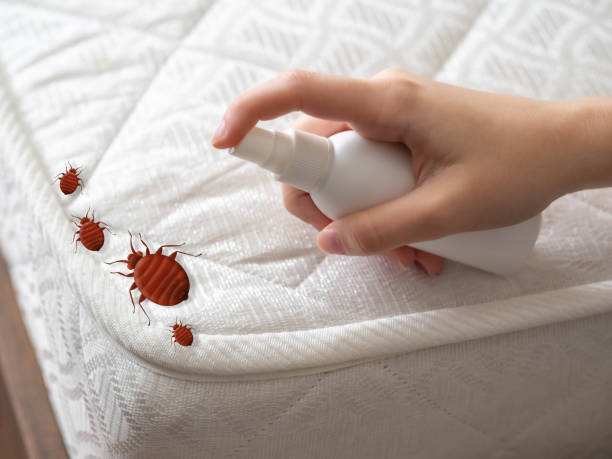 Best Pest Control for Multi-Family Homes  in Crothersville, IN